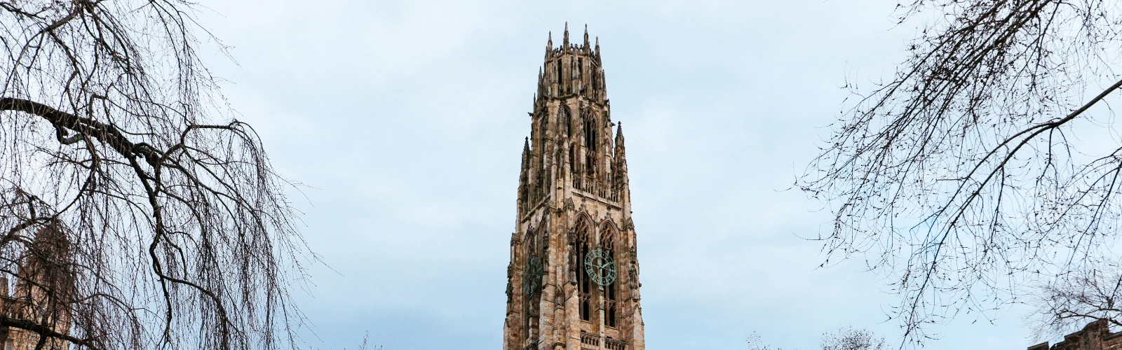 Pet-Friendly Hotels Near Yale University – Best Stays for You & Your Furry Friend
