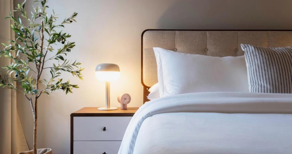 Your Guide to the Best 13 Accommodations Near Yale University, New Haven