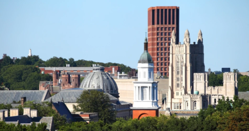 Pet-Friendly Hotels Near Yale University – Best Stays for You & Your Furry Friend