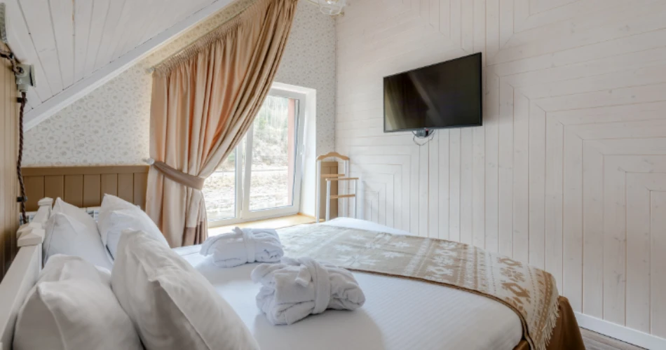 Pet-Friendly Hotels Near Yale University – Best Stays for You & Your Furry Friend
