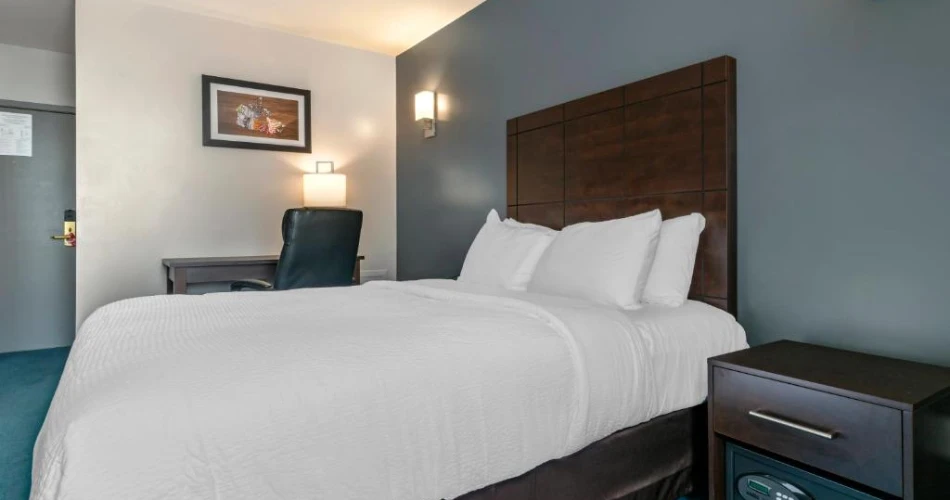 Hotels Near Yale University with Good Breakfast & Wi-Fi – Top Convenient Stays